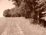 p1000246.jpg