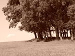 p1000249.jpg