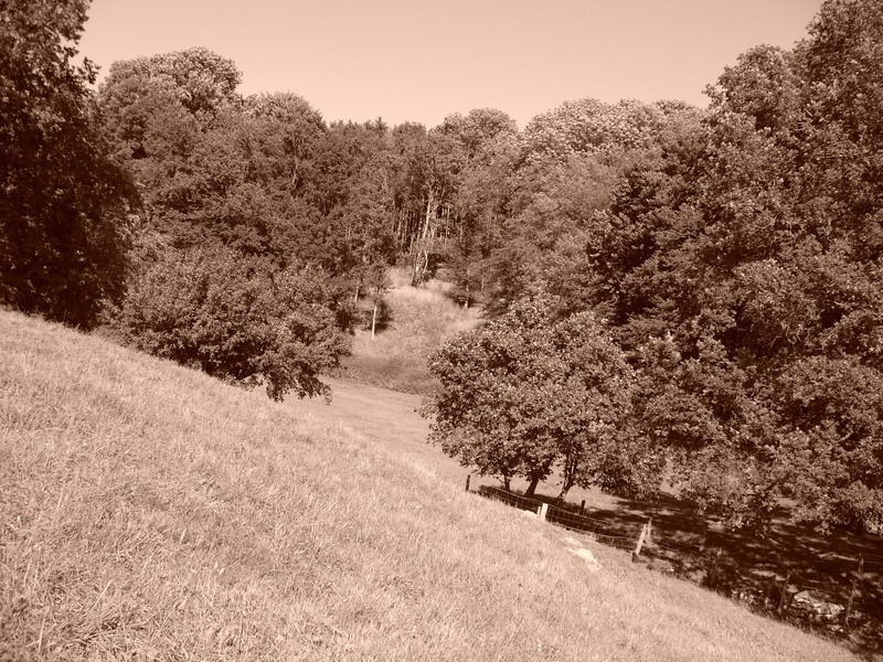 p1000245.jpg