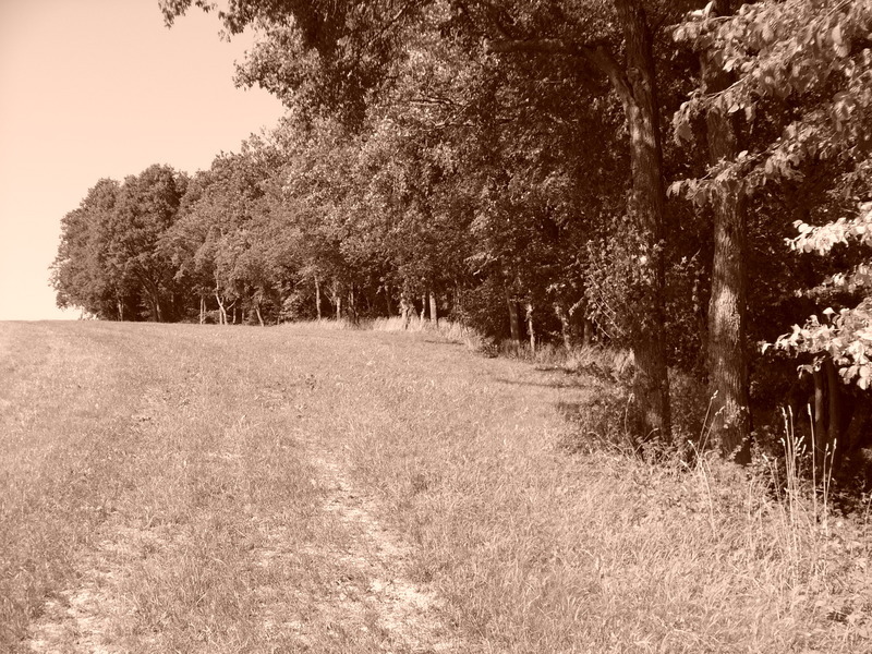 p1000246.jpg