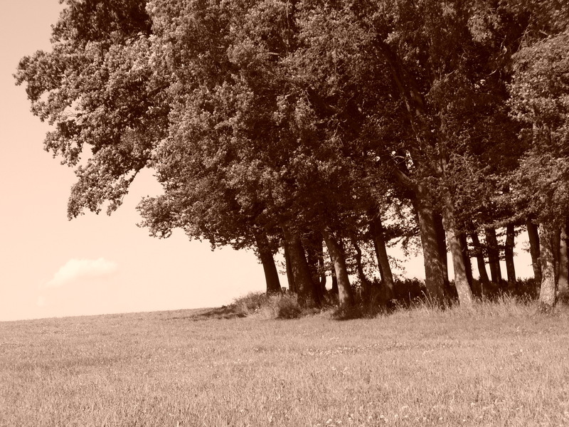 p1000249.jpg