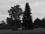 p1170150.jpg