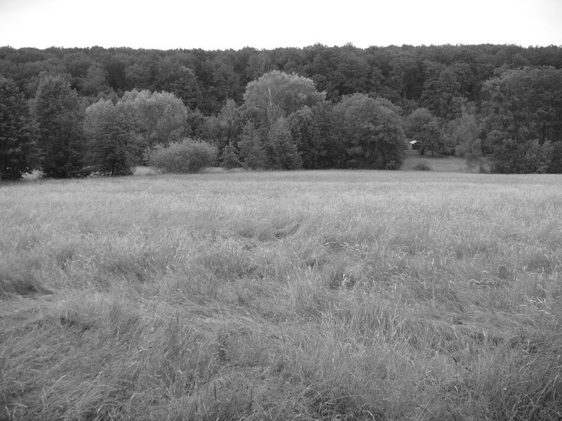 p1170142.jpg
