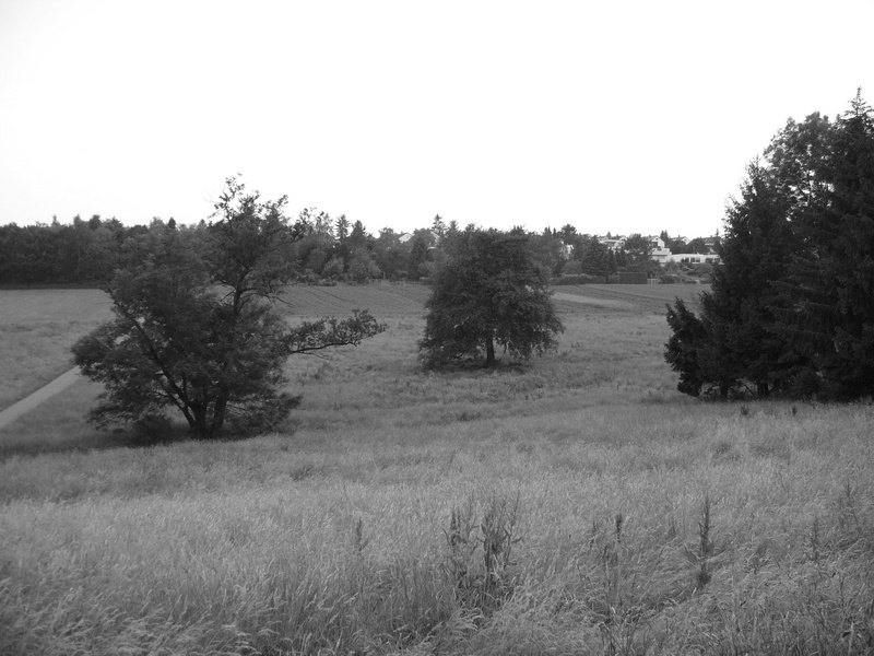 p1170178.jpg