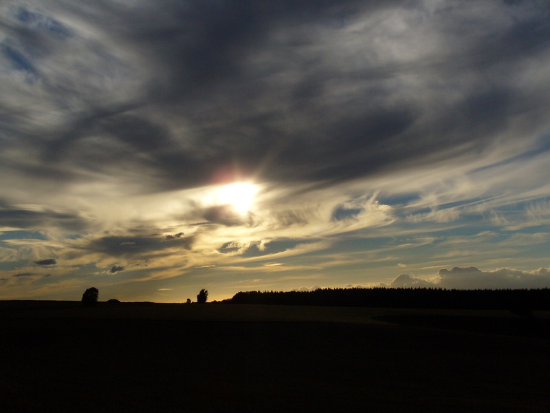 p1170801.jpg