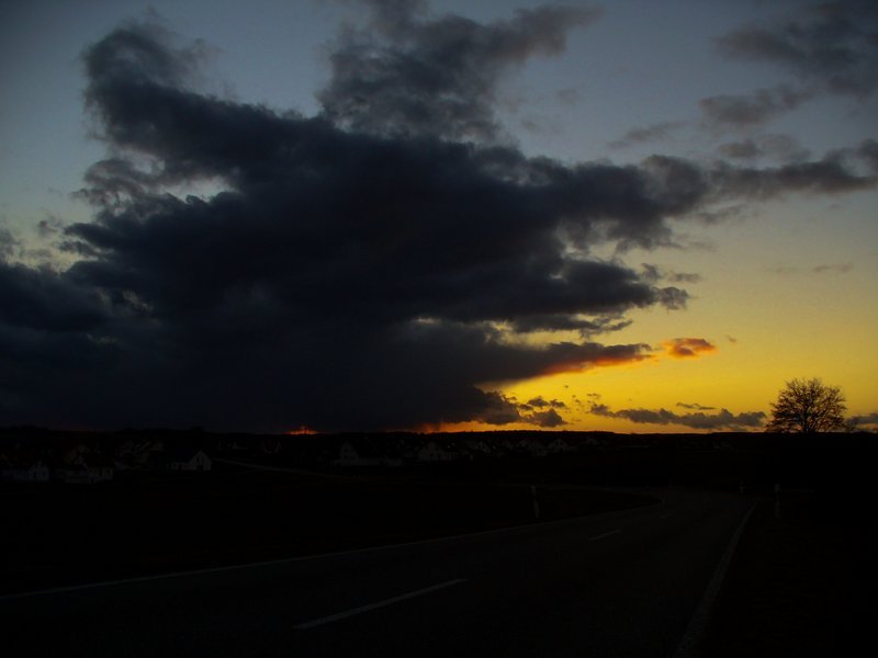 p1220458_edited.jpg